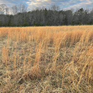 Photo #12 of Sugar Hill Road, Brookneal, VA 10.0 acres