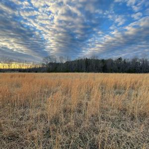 Photo #10 of Sugar Hill Road, Brookneal, VA 10.0 acres