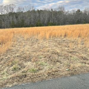 Photo #5 of Sugar Hill Road, Brookneal, VA 10.0 acres