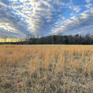 Photo #2 of Sugar Hill Road, Brookneal, VA 10.0 acres