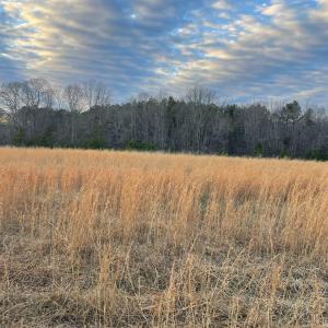 Photo #8 of Sugar Hill Road, Brookneal, VA 10.0 acres