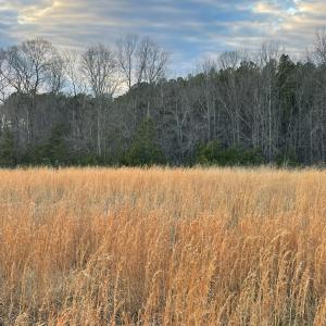 Photo #9 of Sugar Hill Road, Brookneal, VA 10.0 acres