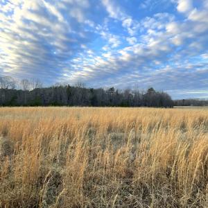 Photo #1 of Sugar Hill Road, Brookneal, VA 10.0 acres