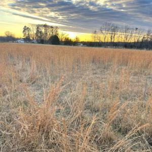 Photo #4 of Sugar Hill Road, Brookneal, VA 10.0 acres