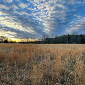 Photo #11 of Sugar Hill Road, Brookneal, VA 10.0 acres