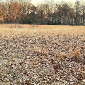 Photo #9 of Gilliam Road, Brookneal, VA 3.0 acres