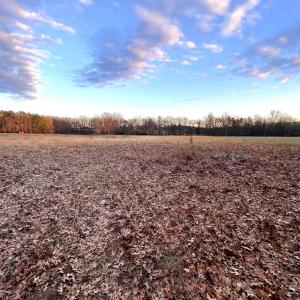 Photo #6 of Gilliam Road, Brookneal, VA 3.0 acres