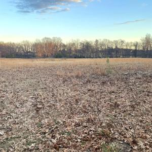 Photo #7 of Gilliam Road, Brookneal, VA 3.0 acres