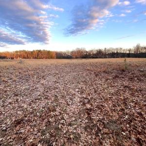 Photo #5 of Gilliam Road, Brookneal, VA 3.0 acres