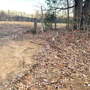 Photo #8 of Gilliam Road, Brookneal, VA 3.0 acres