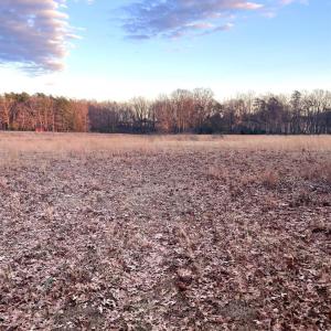 Photo #4 of Gilliam Road, Brookneal, VA 3.0 acres
