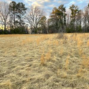 Photo #2 of Gilliam Road, Brookneal, VA 3.0 acres