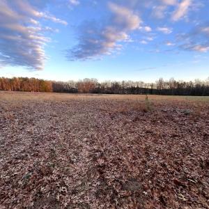 Photo #3 of Gilliam Road, Brookneal, VA 3.0 acres
