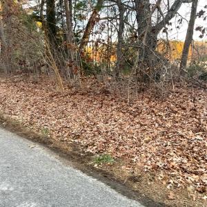 Photo #10 of Gilliam Road, Brookneal, VA 3.0 acres