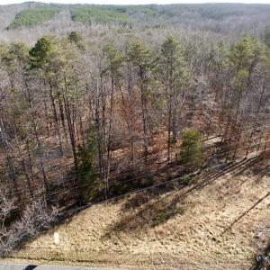 Photo #18 of Salem Road, Schuyler, VA 4.8 acres