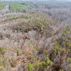 Photo #26 of Salem Road, Schuyler, VA 4.8 acres