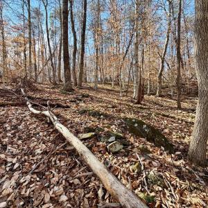 Photo #33 of Salem Road, Schuyler, VA 4.8 acres