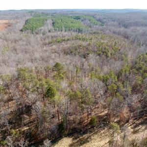 Photo #6 of Salem Road, Schuyler, VA 4.8 acres