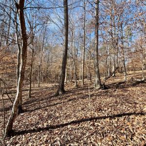 Photo #37 of Salem Road, Schuyler, VA 4.8 acres