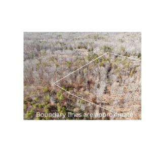 Photo #5 of Salem Road, Schuyler, VA 4.8 acres