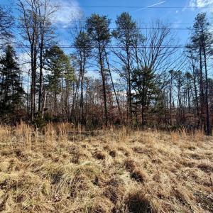 Photo #29 of Salem Road, Schuyler, VA 4.8 acres