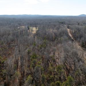 Photo #25 of Salem Road, Schuyler, VA 4.8 acres