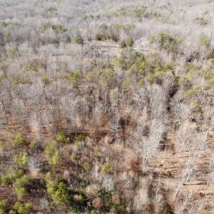 Photo #20 of Salem Road, Schuyler, VA 4.8 acres