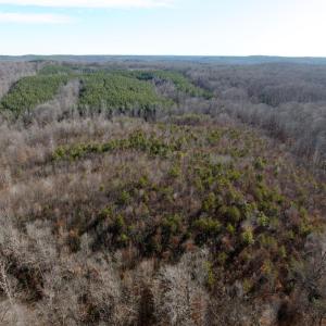 Photo #14 of Salem Road, Schuyler, VA 4.8 acres