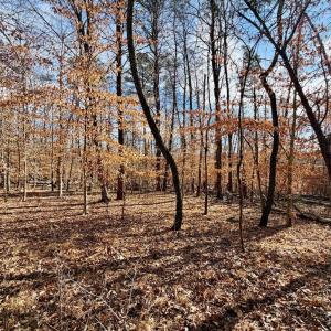 Photo #40 of Salem Road, Schuyler, VA 4.8 acres