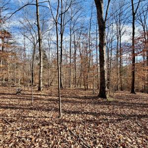 Photo #9 of Salem Road, Schuyler, VA 4.8 acres