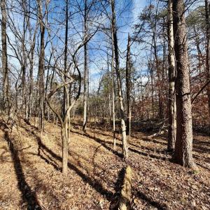 Photo #17 of Salem Road, Schuyler, VA 4.8 acres