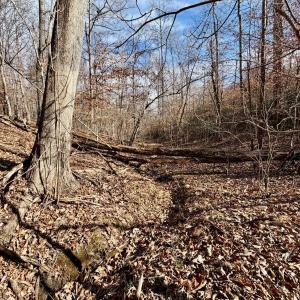 Photo #36 of Salem Road, Schuyler, VA 4.8 acres