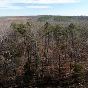 Photo #4 of Salem Road, Schuyler, VA 4.8 acres