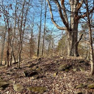 Photo #30 of Salem Road, Schuyler, VA 4.8 acres