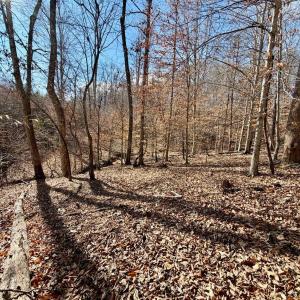 Photo #16 of Salem Road, Schuyler, VA 4.8 acres