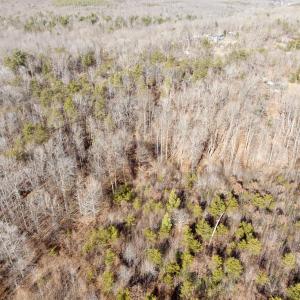 Photo #15 of Salem Road, Schuyler, VA 4.8 acres