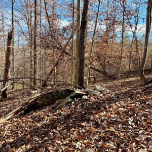 Photo #31 of Salem Road, Schuyler, VA 4.8 acres