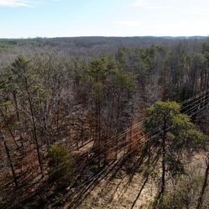 Photo #28 of Salem Road, Schuyler, VA 4.8 acres