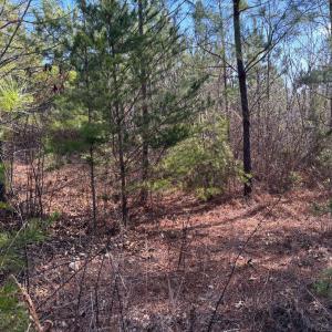 Photo #9 of Mohawk, Long Island, VA 20.0 acres