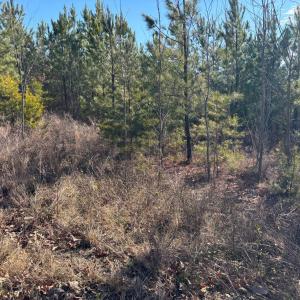 Photo #3 of Mohawk, Long Island, VA 20.0 acres