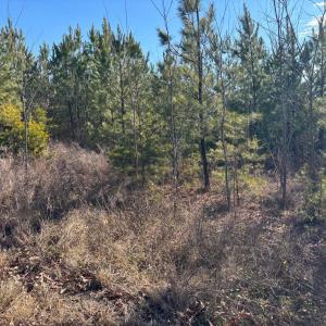 Photo #2 of Mohawk, Long Island, VA 20.0 acres