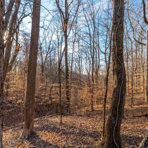 Photo #24 of Lot 15-16 Woodlake Drive, Goodview, VA 4.5 acres