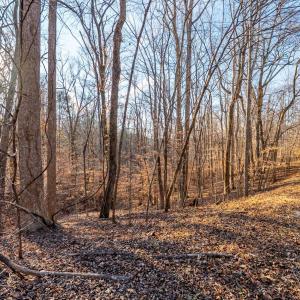 Photo #25 of Lot 15-16 Woodlake Drive, Goodview, VA 4.5 acres