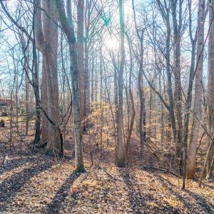 Photo #20 of Lot 15-16 Woodlake Drive, Goodview, VA 4.5 acres