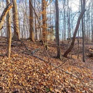 Photo #23 of Lot 15-16 Woodlake Drive, Goodview, VA 4.5 acres