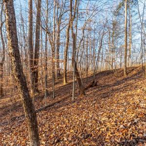 Photo #22 of Lot 15-16 Woodlake Drive, Goodview, VA 4.5 acres