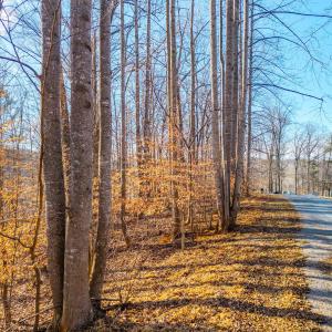 Photo #16 of Lot 15-16 Woodlake Drive, Goodview, VA 4.5 acres