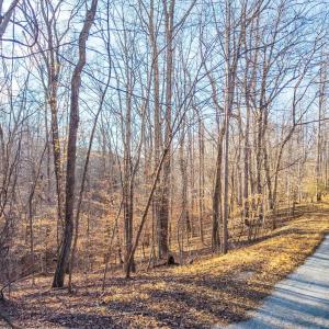 Photo #19 of Lot 15-16 Woodlake Drive, Goodview, VA 4.5 acres