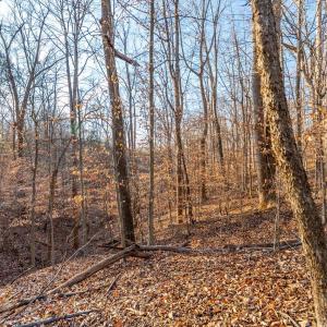 Photo #21 of Lot 15-16 Woodlake Drive, Goodview, VA 4.5 acres