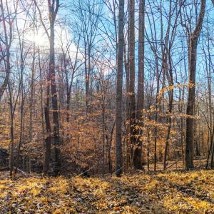 Photo #18 of Lot 15-16 Woodlake Drive, Goodview, VA 4.5 acres
